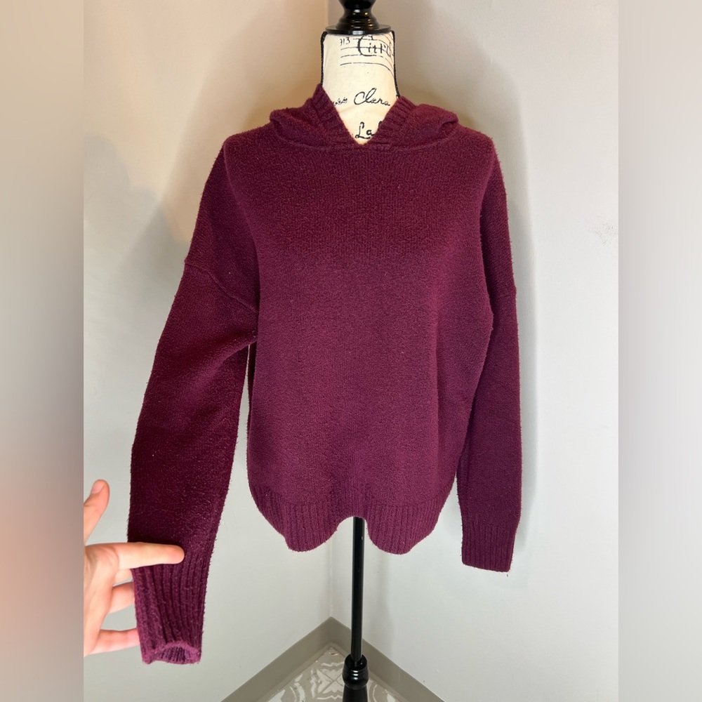 Gap | Hooded Sweater